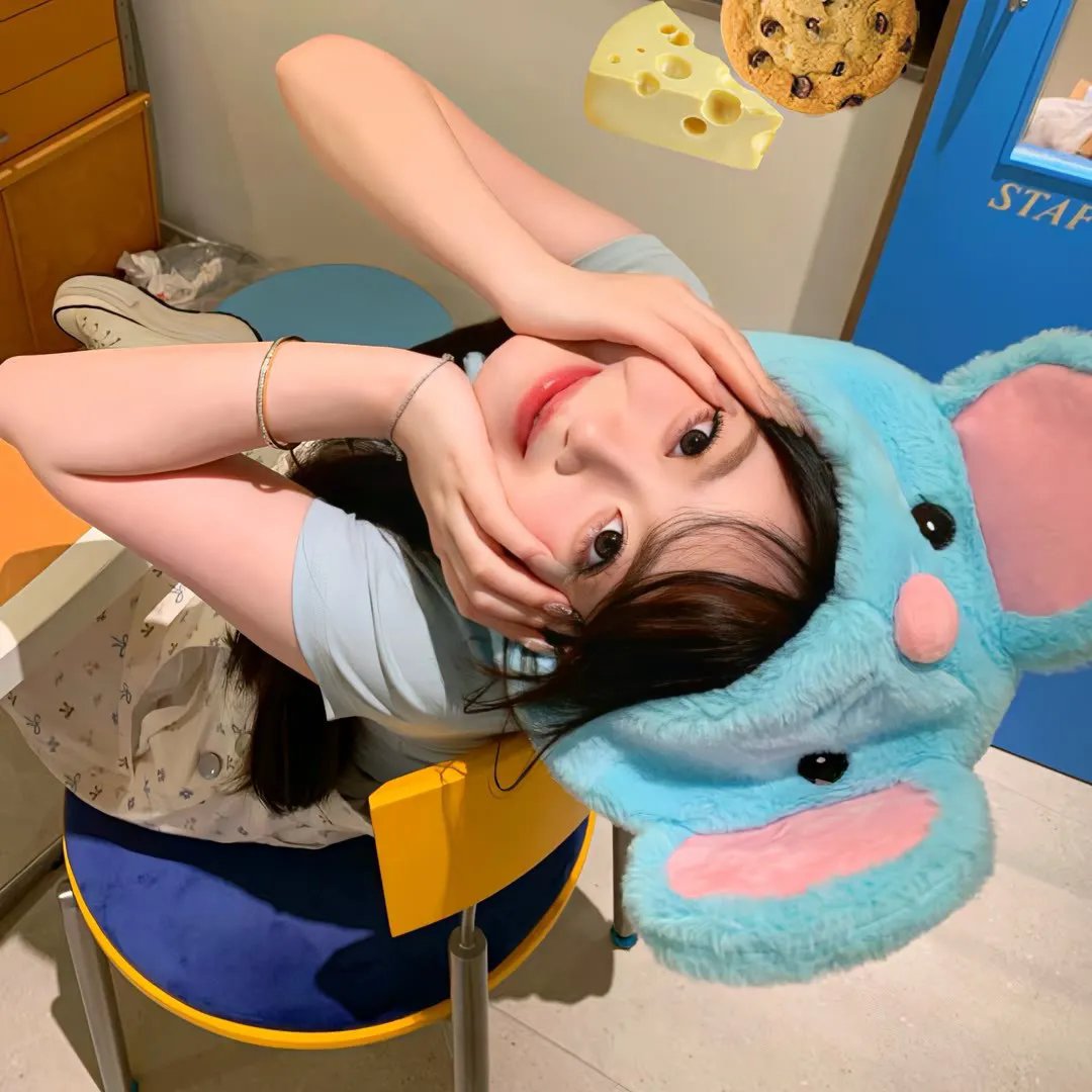 剧集综艺